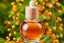 Sea buckthorn oil for skincare routine benefits