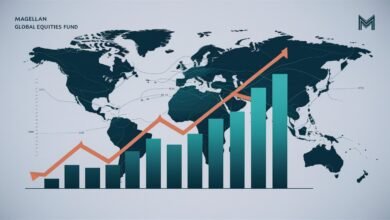 Magellan Global Equities Fund review for investors evaluating risk-adjusted returns and portfolio growth strategies.